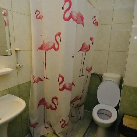 Pensiune Da Boss Residence *